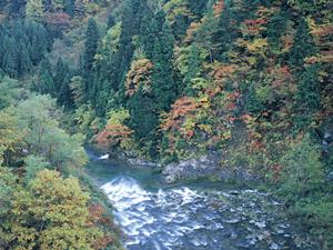 北海道釧路市のビジネスホテル【東横INN釧路十字街】の魅力と特徴