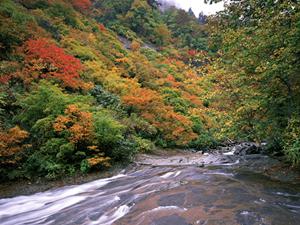 福岡県久留米市に位置する東横イン西鉄久留米駅東口の魅力と詳細情報