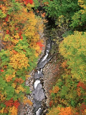 山梨県甲府市に位置するビジネスホテル、東横INN甲府駅南口2の魅力と詳細情報