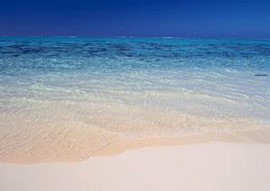 静岡市中心部に便利な立地のビジネスホテル｜東横INN静岡駅南口の魅力と詳細情報