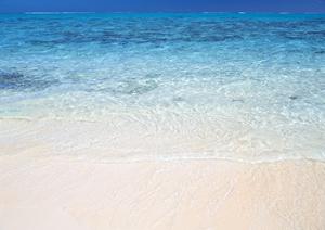 【重要なお知らせ】システムメンテナンスによるサービス停止のお知らせと今後の対応について