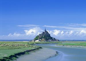 鹿児島中央駅に一番近い快適なビジネスホテル｜東横INN鹿児島中央駅西口の魅力と特徴
