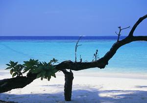 成田空港を便利に利用できる東横イン成田空港本館の魅力と詳細情報