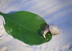 浜田駅から徒歩3分！東横INN浜田駅北口の快適な滞在と便利なアクセスを徹底解説