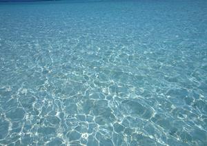 東横INN盛岡駅前｜岩手県盛岡市のビジネスホテルの魅力と詳細情報