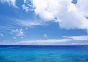 快適なビジネスと観光の拠点に最適！東横INN昭島駅南口の魅力と詳細情報